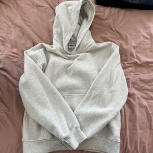 Aritzia TNA hoodie
